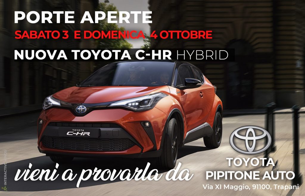 Interactive Minds - portfolio - Toyota Pipitone Auto